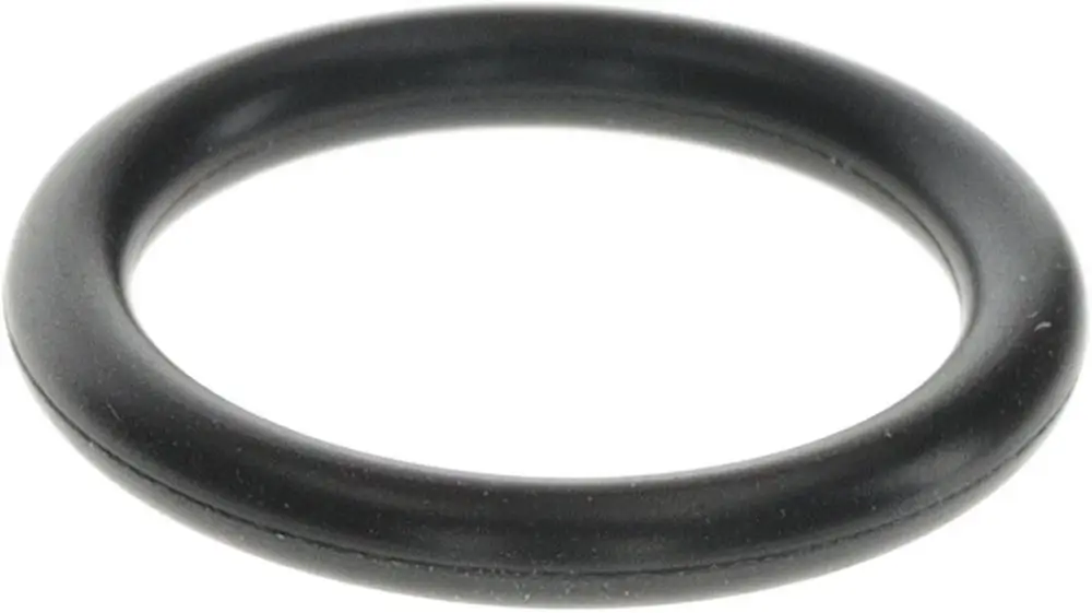 Schwarzer O-Ring von Bosch. Er hat eine runde Form und eine glatte Oberfläche ohne erkennbare Maße oder zusätzliche Markierungen.